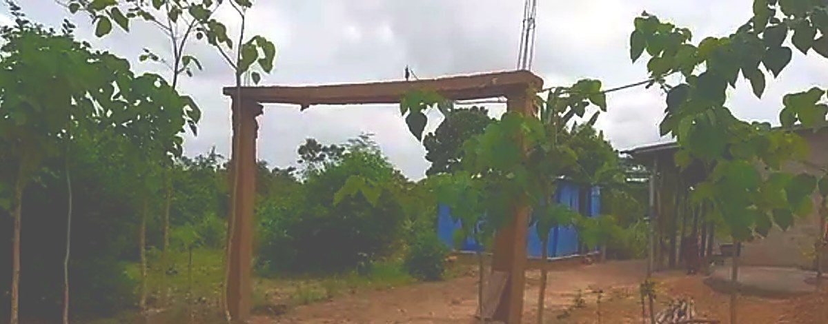 L'entrée du site et les jeunes plantations